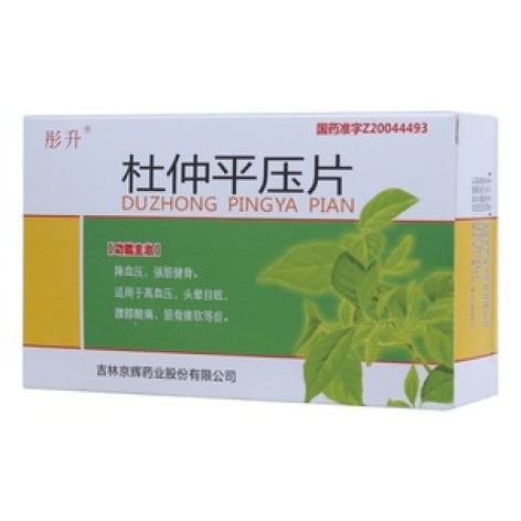 杜仲平压片(彤升)包装主图