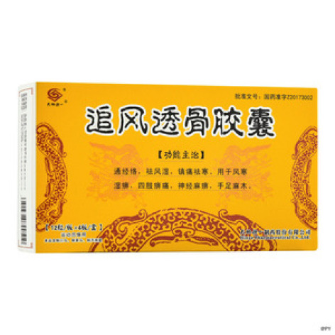 追风透骨胶囊(天地恒一)包装主图