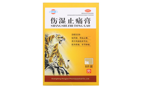 伤湿止痛膏(恒健)主图 伤湿止痛膏(恒健)主图