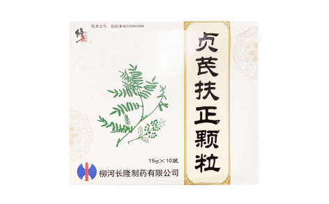 贞芪扶正颗粒(修正)主图 贞芪扶正颗粒(修正)主图