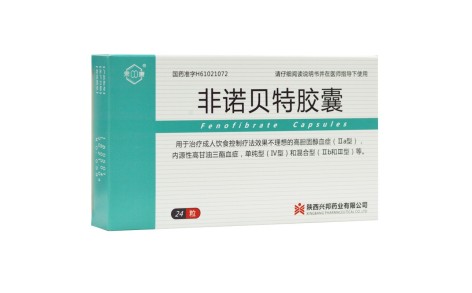 非诺贝特胶囊(汉唐)主图 非诺贝特胶囊(汉唐)主图