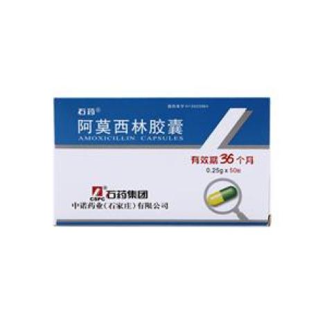 阿莫西林胶囊(石药)包装主图 阿莫西林胶囊(石药)包装主图