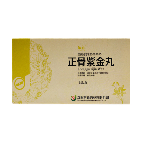 正骨紫金丸(东新)包装主图