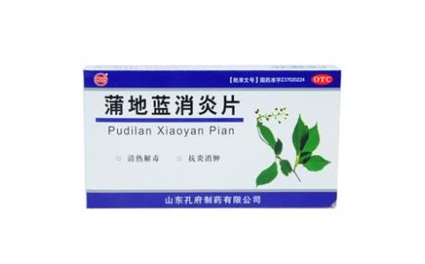 蒲地蓝消炎片(孔府)主图