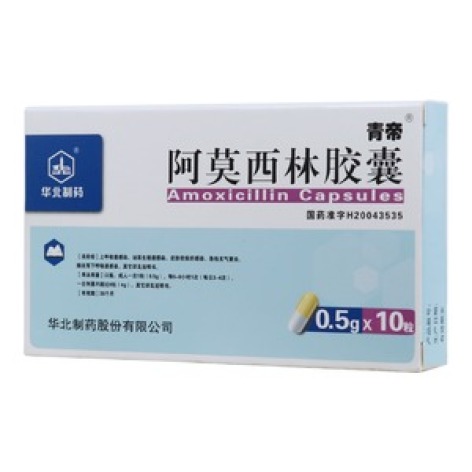 阿莫西林胶囊(青帝)包装主图 阿莫西林胶囊(青帝)包装主图