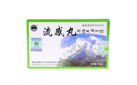 流感丸(丹东)主图
