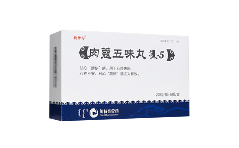 肉蔻五味丸(欣什宁)主图