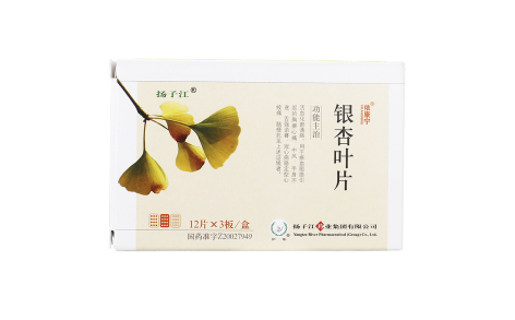 银杏叶片(依康宁)主图 银杏叶片(依康宁)主图