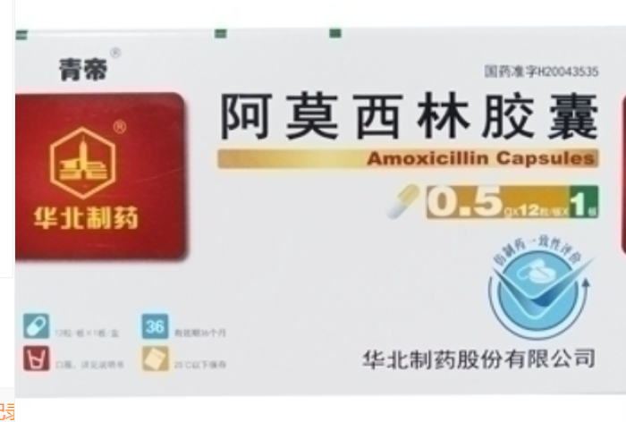 阿莫西林胶囊(青帝)包装主图 阿莫西林胶囊(青帝)包装主图