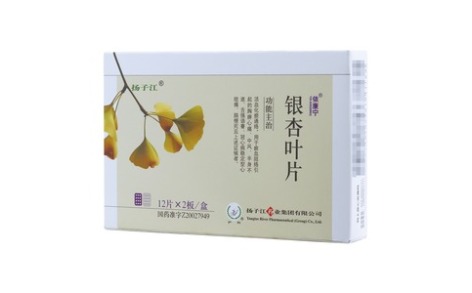 银杏叶片(依康宁)主图 银杏叶片(依康宁)主图