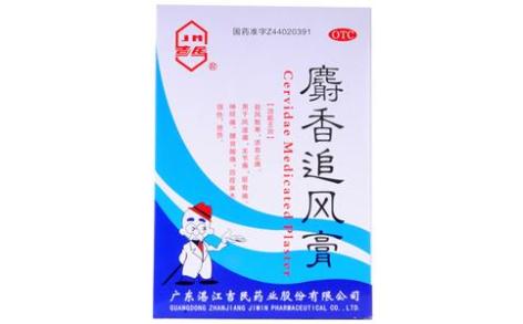 麝香追风膏(吉民)主图 麝香追风膏(吉民)主图