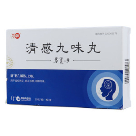清感九味丸(丹神)包装主图