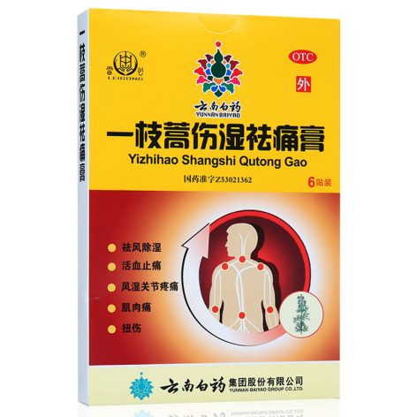 一枝蒿伤湿祛痛膏(雷公)包装主图 一枝蒿伤湿祛痛膏(雷公)包装主图
