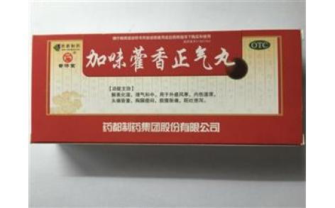 加味藿香正气丸(普济堂)主图 加味藿香正气丸(普济堂)主图