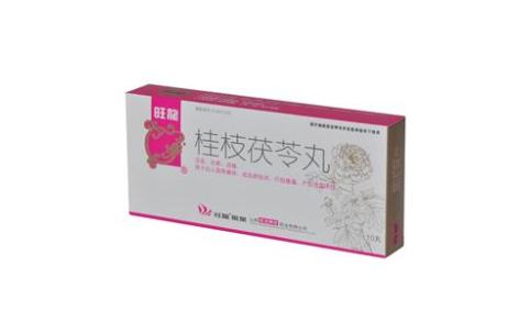桂枝茯苓丸(旺龍)主图 桂枝茯苓丸(旺龍)主图