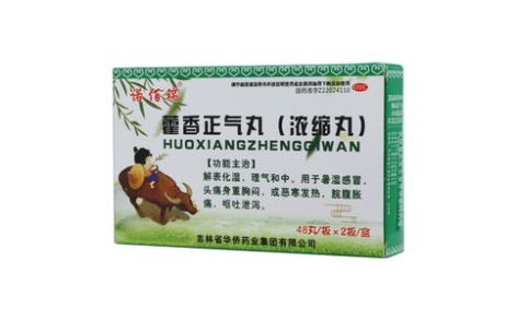 藿香正气丸(诺佰瑞)主图