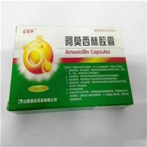 阿莫西林胶囊(达洛克)包装主图 阿莫西林胶囊(达洛克)包装主图