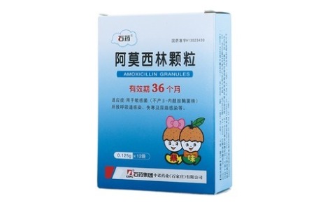 阿莫西林颗粒(石药)主图 阿莫西林颗粒(石药)主图