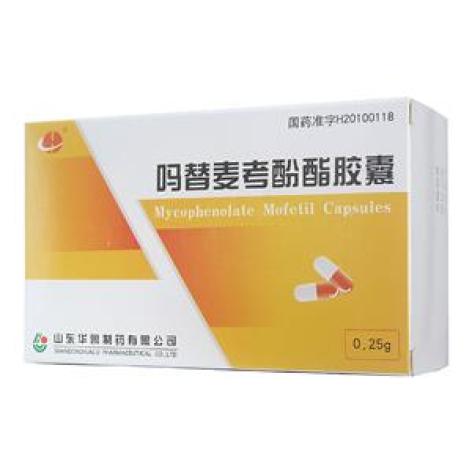 吗替麦考酚酯胶囊(华鲁)包装主图 吗替麦考酚酯胶囊(华鲁)包装主图