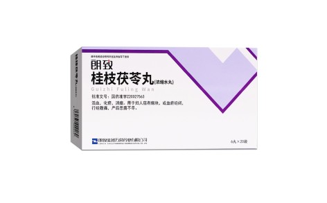 桂枝茯苓丸(朗致)主图 桂枝茯苓丸(朗致)主图