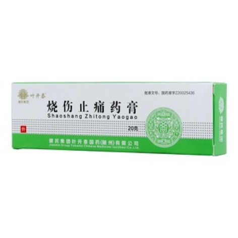 烧伤止痛药膏(叶开泰)包装主图