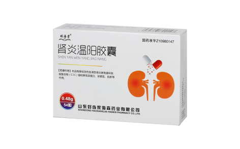肾炎温阳胶囊(颐海棠)主图