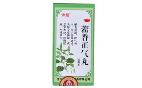 藿香正气丸(佛慈)主图 藿香正气丸(佛慈)主图