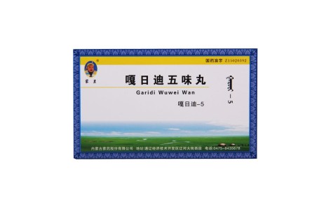 嘎日迪五味丸(蒙王)主图 嘎日迪五味丸(蒙王)主图