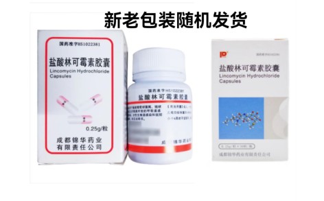 盐酸林可霉素胶囊(锦华)主图
