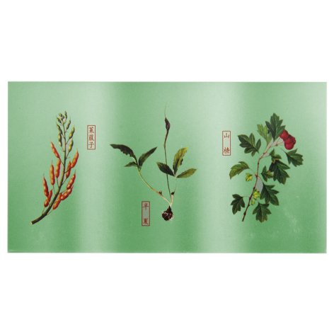 保和丸(仲景)包装侧面图2 保和丸(仲景)包装侧面图2