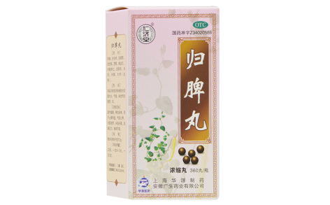归脾丸(仁济堂)主图 归脾丸(仁济堂)主图