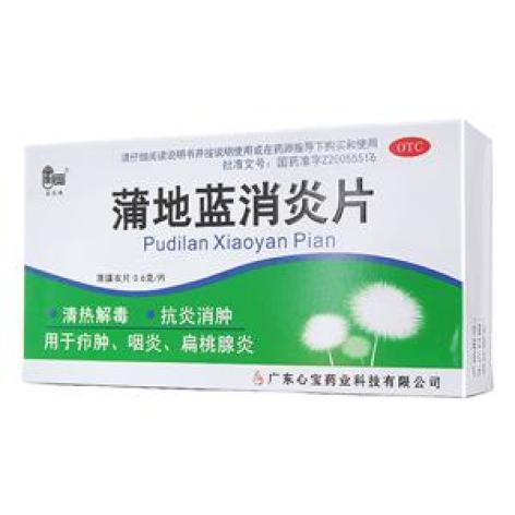 蒲地蓝消炎片(星辰)包装主图