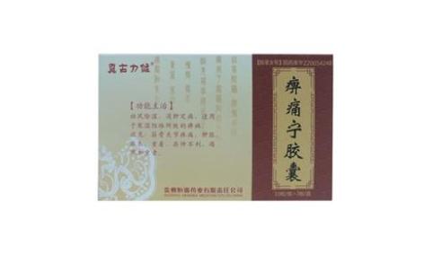 痹痛宁胶囊(真古力健)主图 痹痛宁胶囊(真古力健)主图