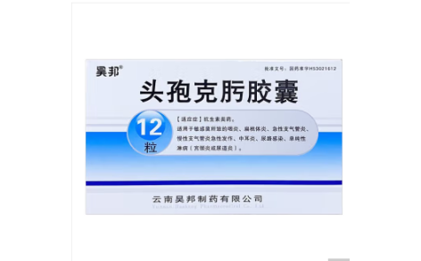 头孢克肟胶囊(昊邦)主图 头孢克肟胶囊(昊邦)主图