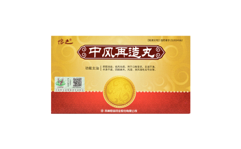 中风再造丸(溶之)主图 中风再造丸(溶之)主图