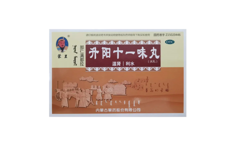 升阳十一味丸(蒙王)主图