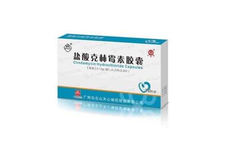 盐酸克林霉素胶囊(白云山)主图