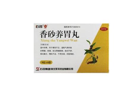香砂养胃丸(永丰)主图 香砂养胃丸(永丰)主图