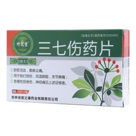 三七伤药片(珍芝堂)包装主图 三七伤药片(珍芝堂)包装主图