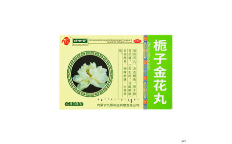 栀子金花丸(九郡)主图 栀子金花丸(九郡)主图