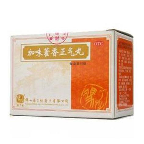 加味藿香正气丸(冯了性)包装主图 加味藿香正气丸(冯了性)包装主图