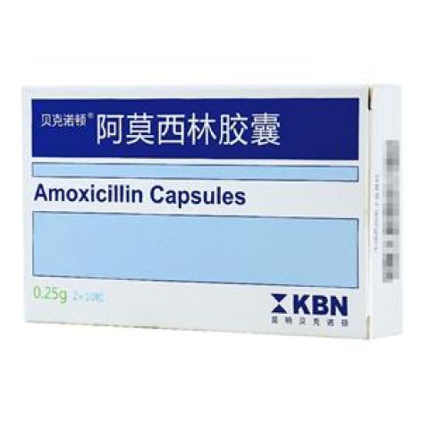 阿莫西林胶囊(贝克诺顿)包装主图 阿莫西林胶囊(贝克诺顿)包装主图