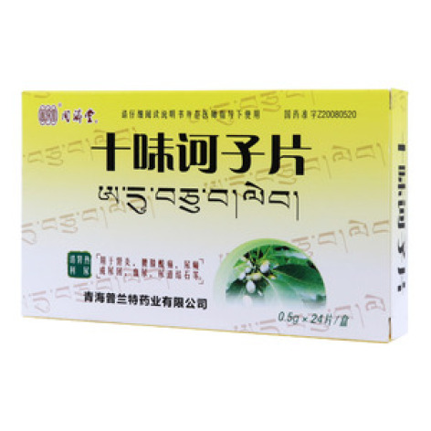 十味诃子片(同済堂)包装主图