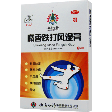 麝香跌打风湿膏(金品)包装主图 麝香跌打风湿膏(金品)包装主图