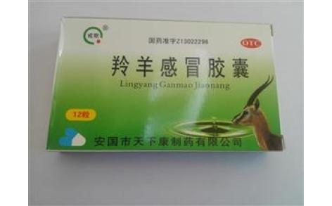 羚羊感冒胶囊(戒欺)主图