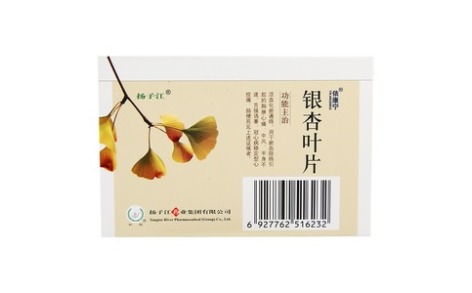 银杏叶片(依康宁)主图 银杏叶片(依康宁)主图