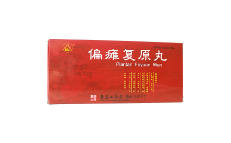 偏瘫复原丸(景忠山)主图 偏瘫复原丸(景忠山)主图