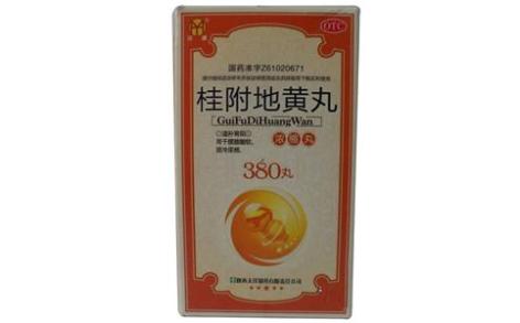 桂附地黄丸(汉源)主图 桂附地黄丸(汉源)主图
