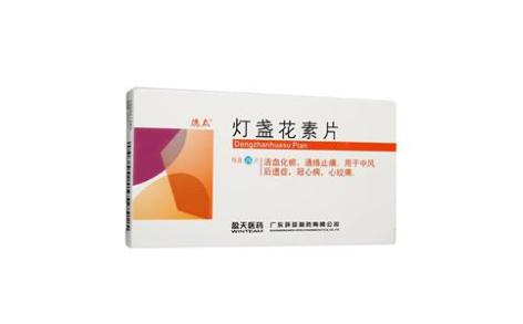 灯盏花素片(环球制药)主图 灯盏花素片(环球制药)主图