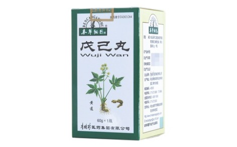 戊己丸(本草纲目)主图 戊己丸(本草纲目)主图